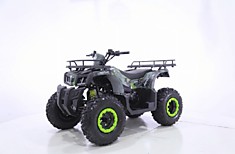 MOTAX ATV Grizlik T200